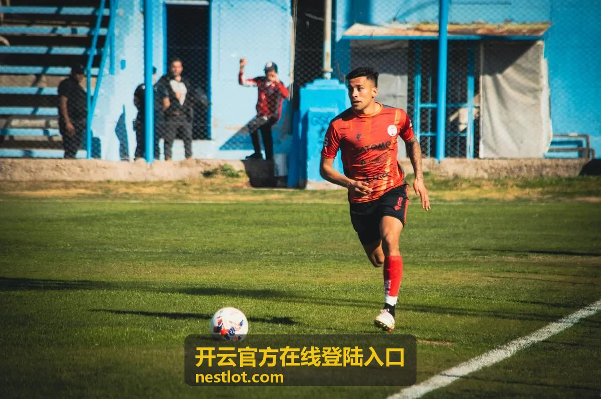 开云官方在线登陆入口的密码与账号安全基础设置