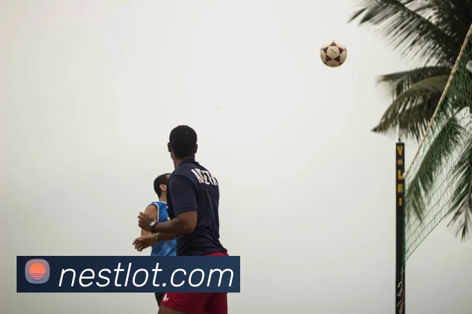 beat·365(中国)唯一官方网站平台生态图